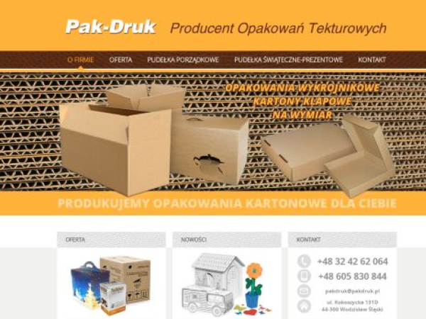 Audyt SEO strony pakdruk.pl